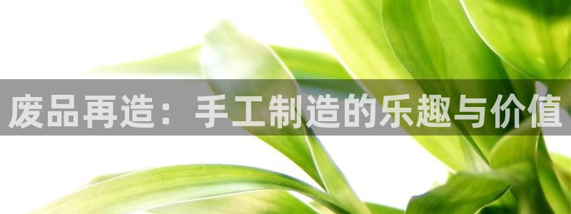 678体育官网下载软件:废品再造:手工制造的乐趣与价值