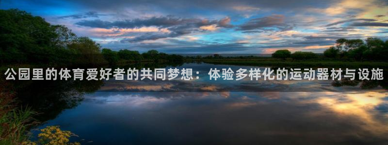 678体育官网下载娱乐:公园里的体育爱好者的共同梦想:体验多